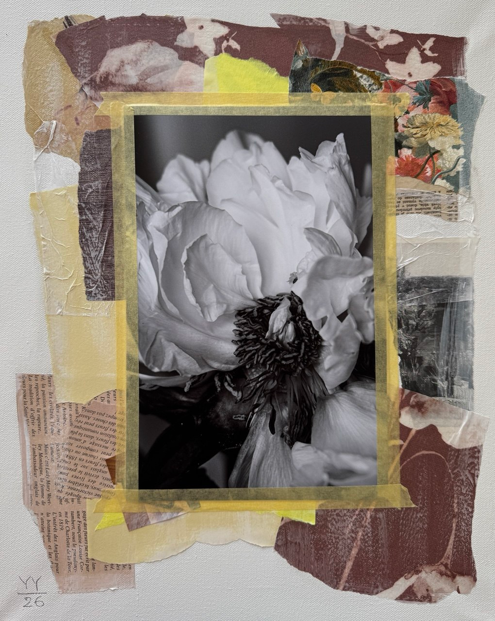 Project N1 — image 2