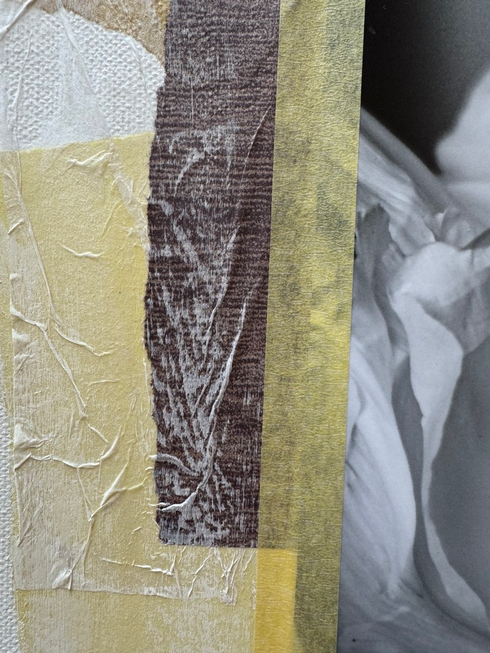 Project N1 — image 4