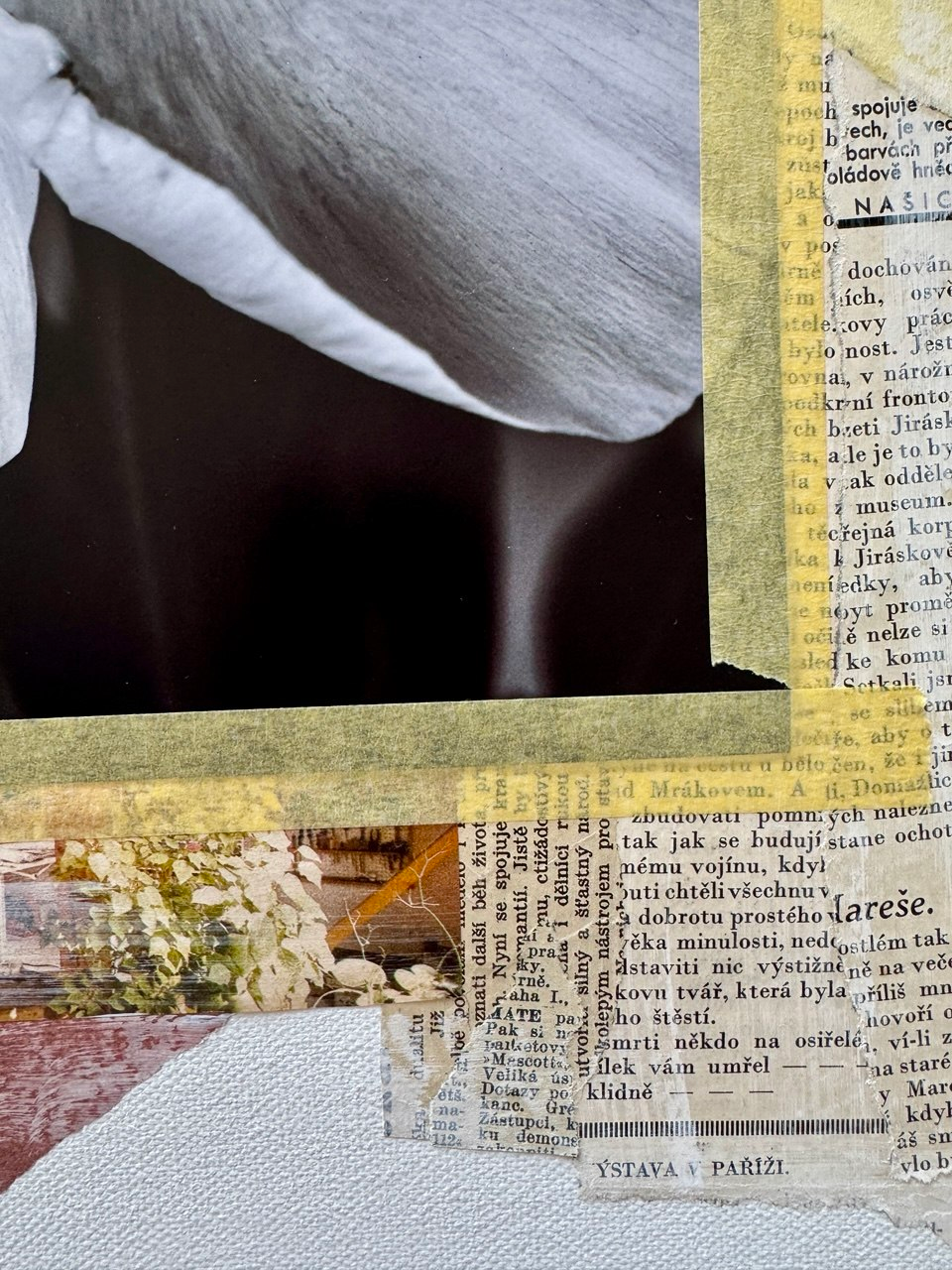 Project N1 — image 6