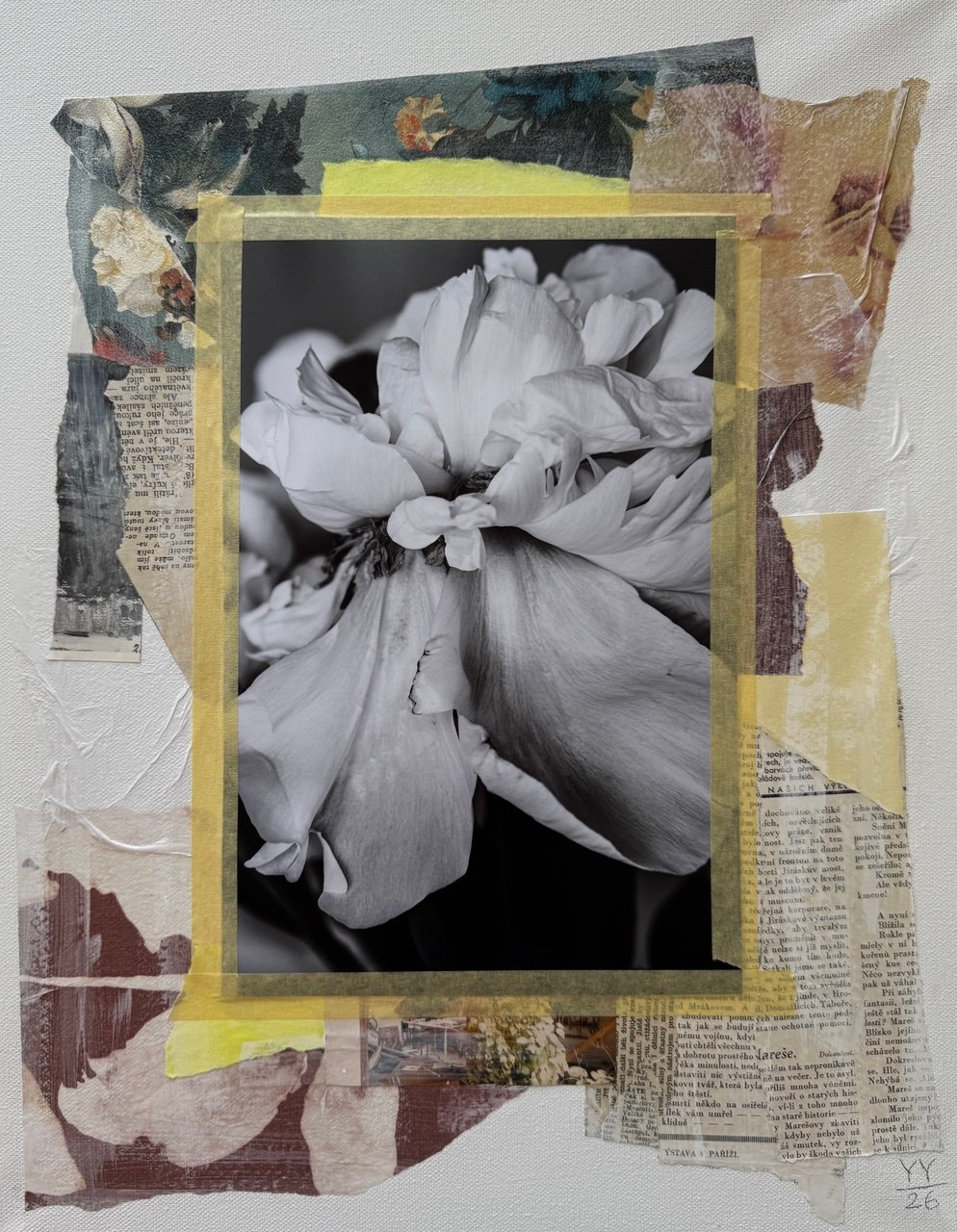 Project N1 — image 7